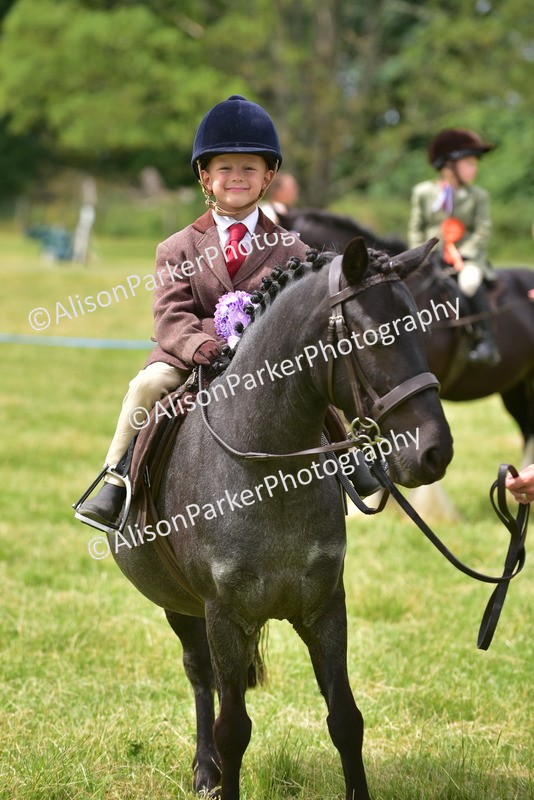 20260614-3739 - Class 15 - Prettiest Mare