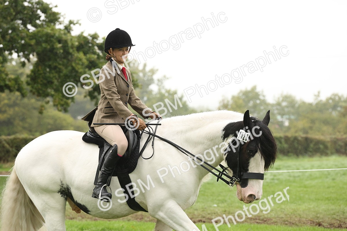 SBM_72655 - S70 - Traditional Cob Ridden