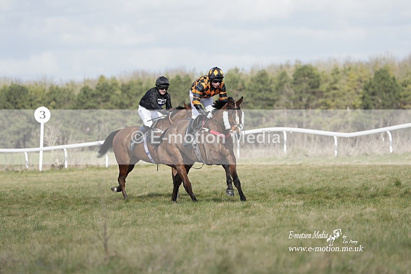 PtP 260223 442 - South & West Wilts Point-to-Point Larkhill 26/02/23