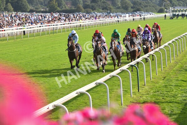 yr05092021r5-36 - Race 5 4.20pm Little Green Rascals Children's Nurseries Stakes