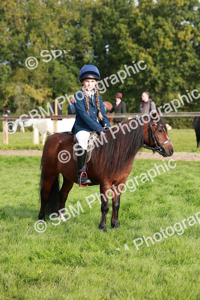 SBM_56432 - S39 - Starters In Hand Showing