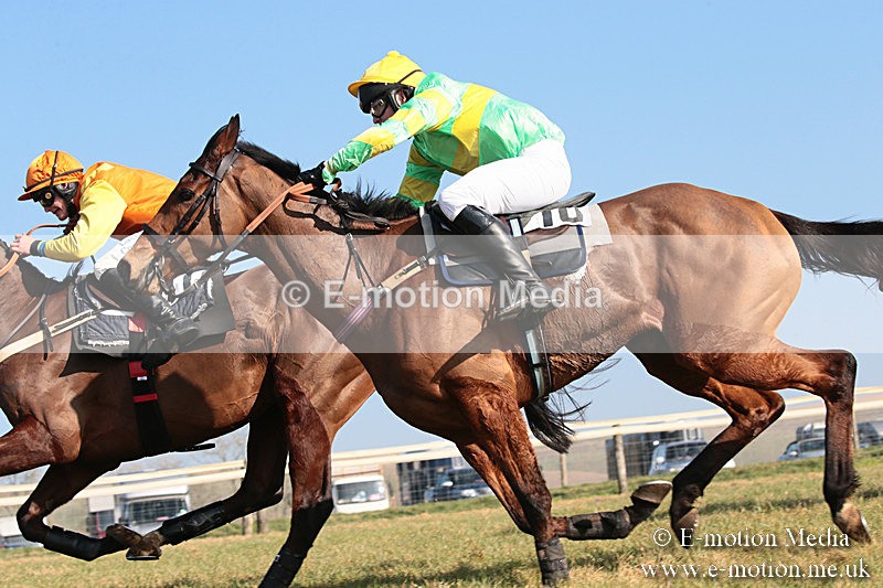 PtP 230219 311 - Vine & Craven Point-To-Point - Barbury 23/02/19