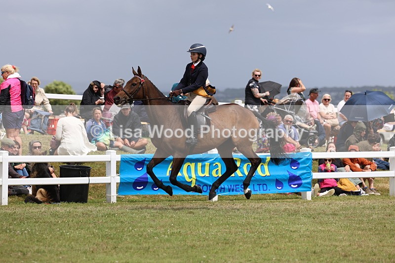 3E7A2365 - Class 11: Retraining of Racehorse