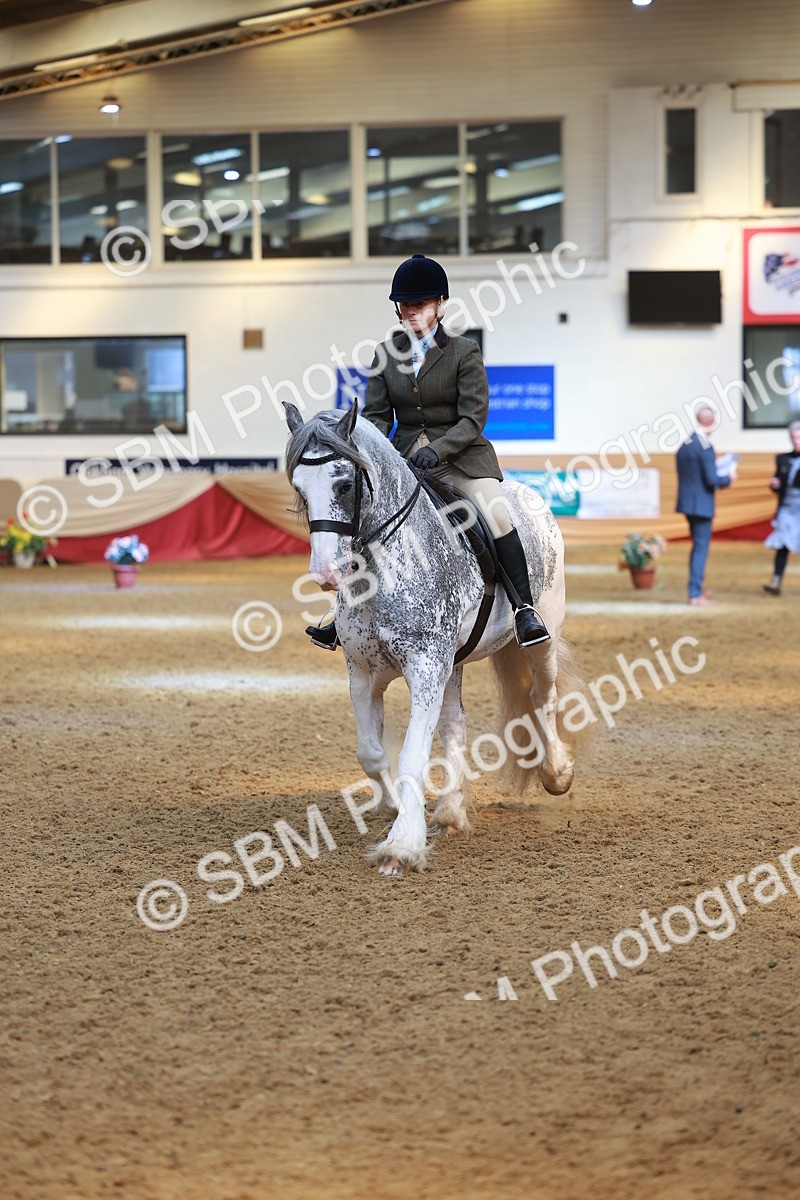 SBM_12596 - Class 103 - HOYS Veteran Qualifier - Ridden Pre Vet