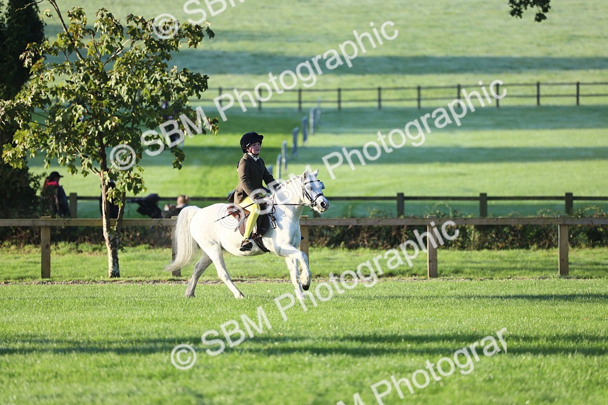 SBM_31767 - S28 - Nursery Stakes Working Hunter Pony