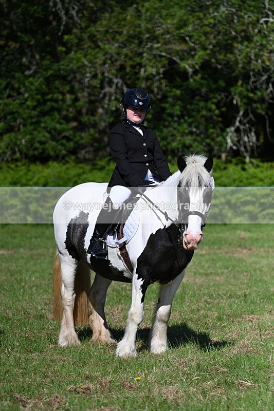 WJ7_0390 - Class 8 First Rally Pony