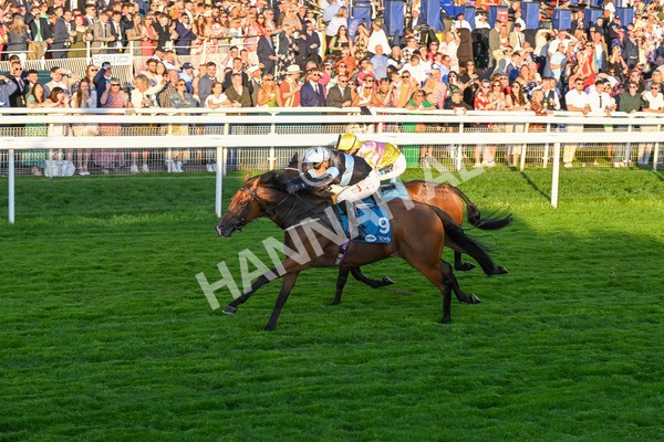 260724-Race 6-Duran-5539 - Race 6 8.20pm Sky Bet Go-Racing-In-Yorkshire Summer Festival Handicap