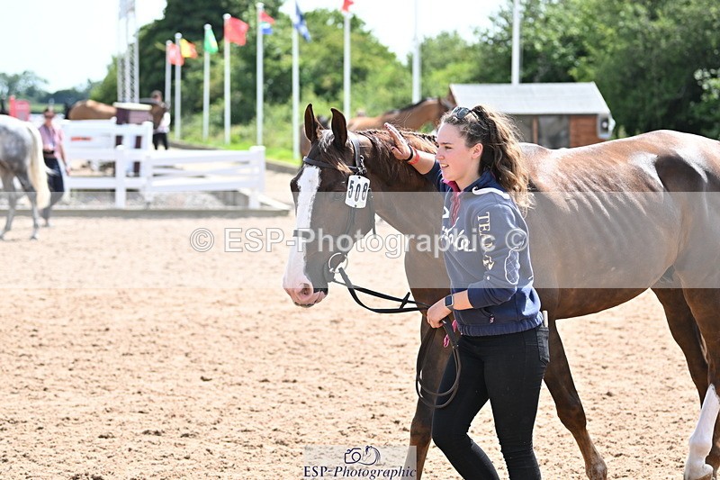 240717A-151441-02678 - Trot Up 3pm to 4pm