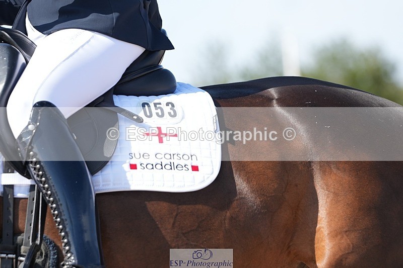 250906-150026-04624 - 053-Wendy.SavageFree.State