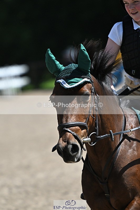 240729B-122636-02668 - Showjumping Competition