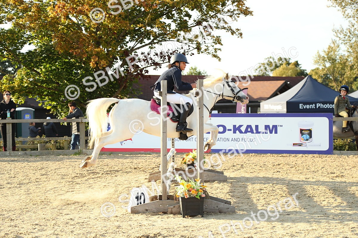 SBM_53786 - J8 - Junior Pony 65cm Championship