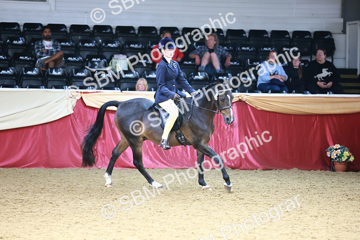 SBM_23839 - Class 905 - Supreme Final - Ridden Veteran