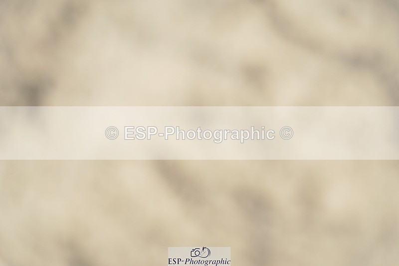 230909-122926-05686 - Cls 17 Snr 1.05m Open