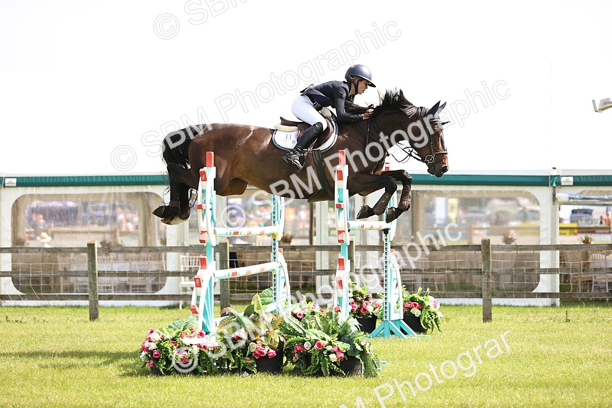 SBM_03140 - Class 201 - British Horse Feedds Speedi Beet HOYS Grade C