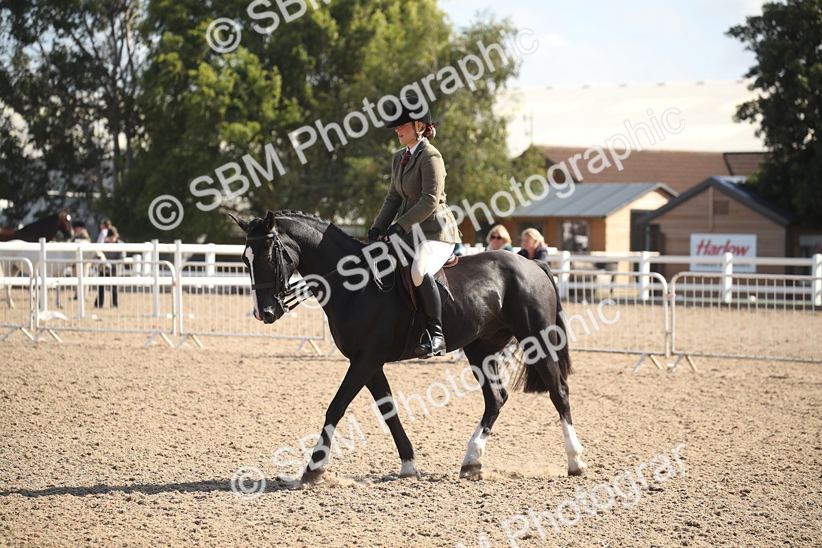 SBM_22952 - Class 603 - 2026 - Ridden Pre Vet
