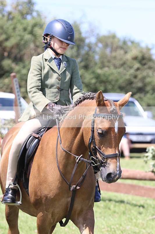 JPP_2764 - Class 21: Working Hunter 60cm