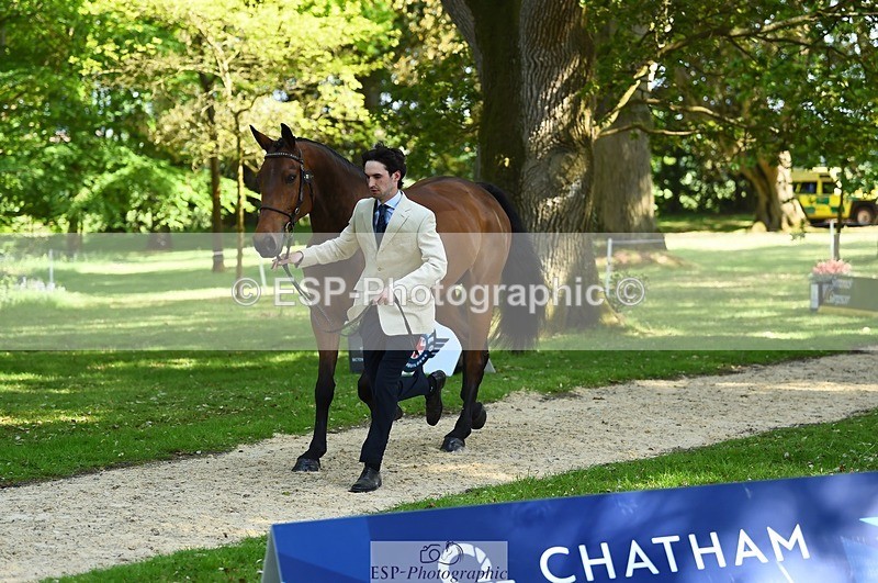 230524-161216-00753 - 255-HI_MR_HENRY-Henry_Hobby-WEDTrotUp+DR