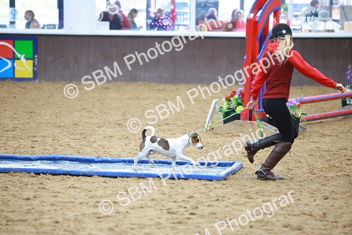 SBM_002129 - Class 3 - Horse & Hound (60cm)