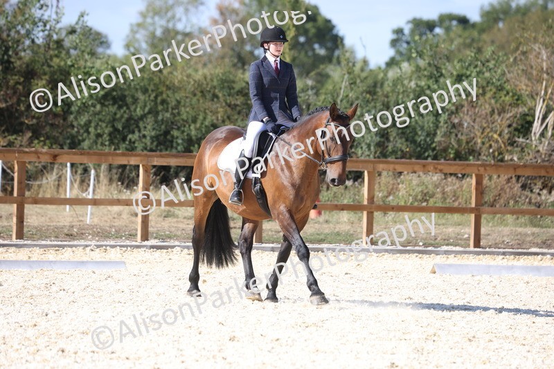 20260905-1589 - Class 5 - Novice 2