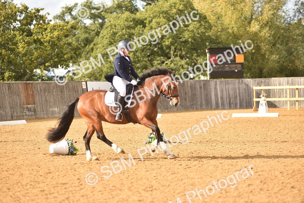 SBM_29654 - D16 -Small Tour Championship Novice 2