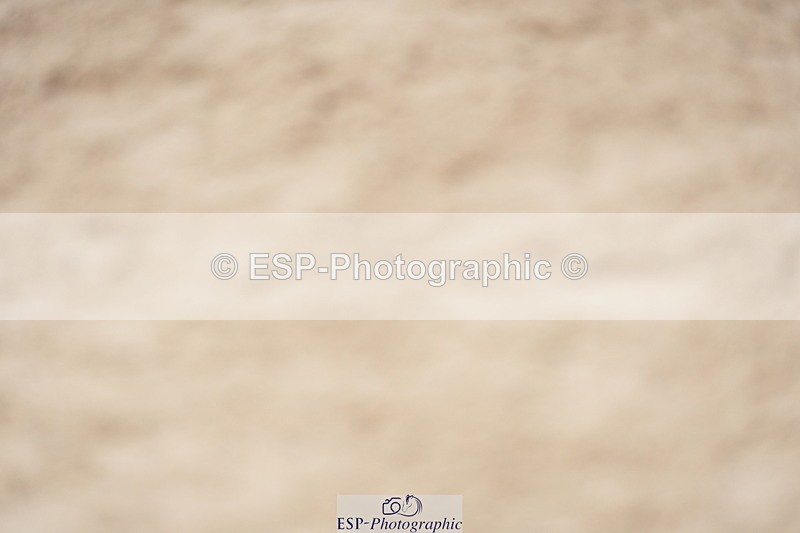 230924A-122420-04753 - 100 SJ 12.00 to End