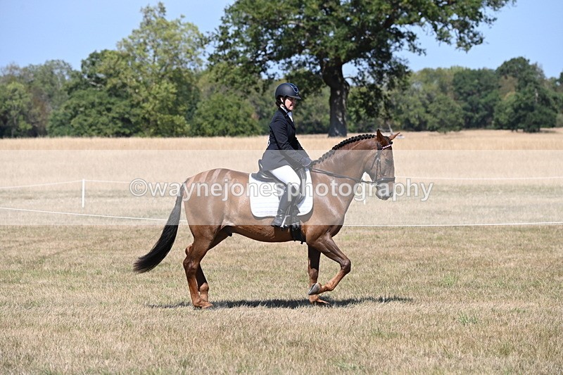 WJ6_8776 - Class 38 Ridden Riding Horse/Pony