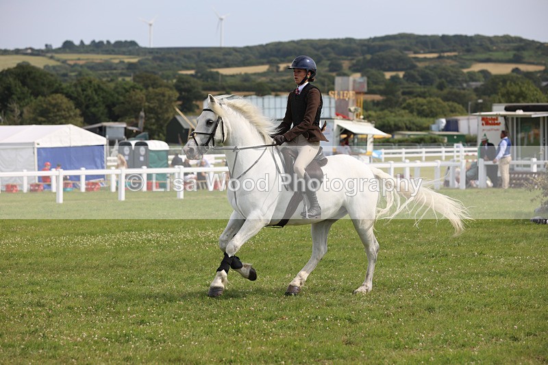 JPP_4007 - Class 24: Working Hunter 90cm