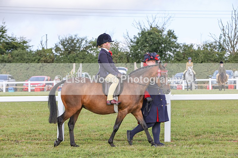 1X9A3543 - Class 29: Lead Rein SP/SHP