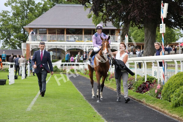 yr11062022r8-35 - Race 8 5.25pm Clean up with PPS Stakes