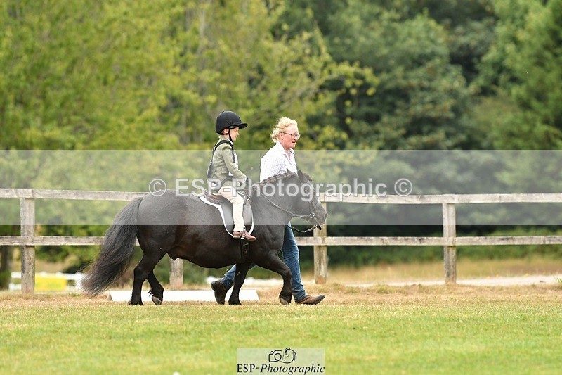 250820A-113328-05133 - 11am to 12