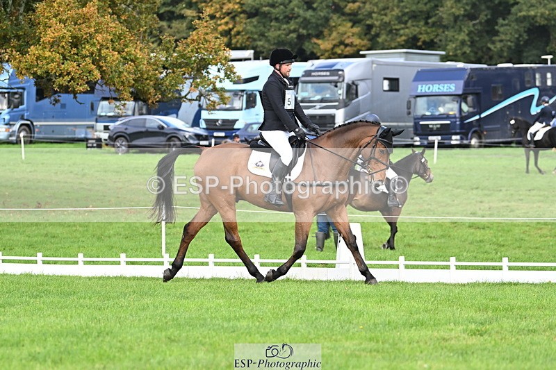 251023A-105228-02618 - G-510-Dan.Andrews