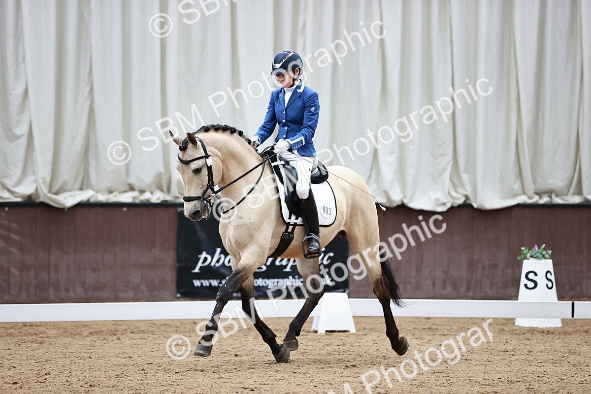 SBM_000928 - Class 2-5-4-6 - Paso Doble-Golega-Novato-Sevilla - FSM