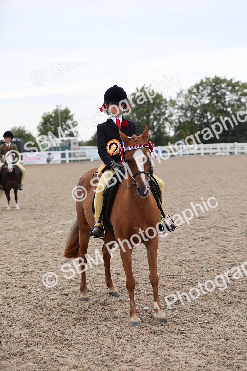 SBM_18233 - Class 316 Best Pony/Rider Combination