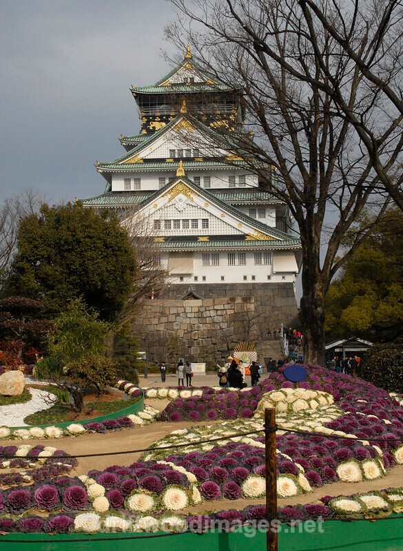 Japan Osaka Japan castle and flowers - Japan