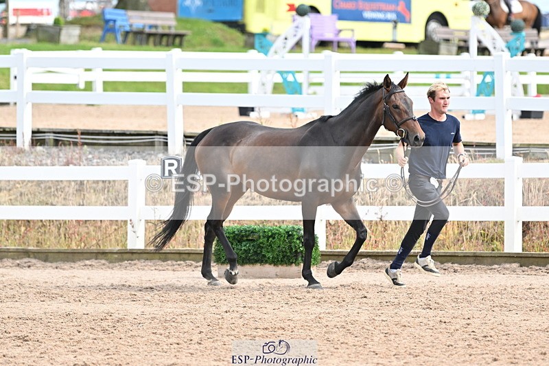 240717A-164511-03513 - Trot Up 4pm to 5pm