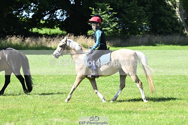 240728B-102237-00659 - Theo's Group XC