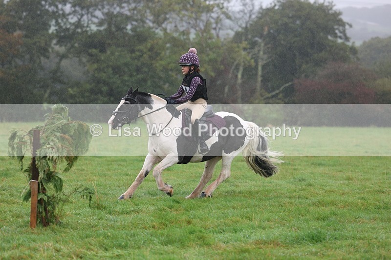 3E7A0806 - Class 1: 65cm: Rails