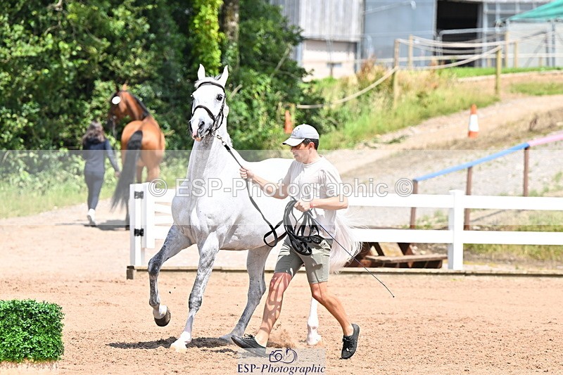 240718A-105317-01794 - Trot Up 1pm to 2pm