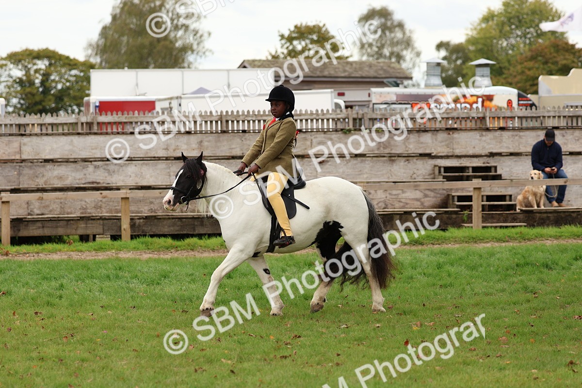 SBM_64582 - S58 - Coloured Pony Ridden