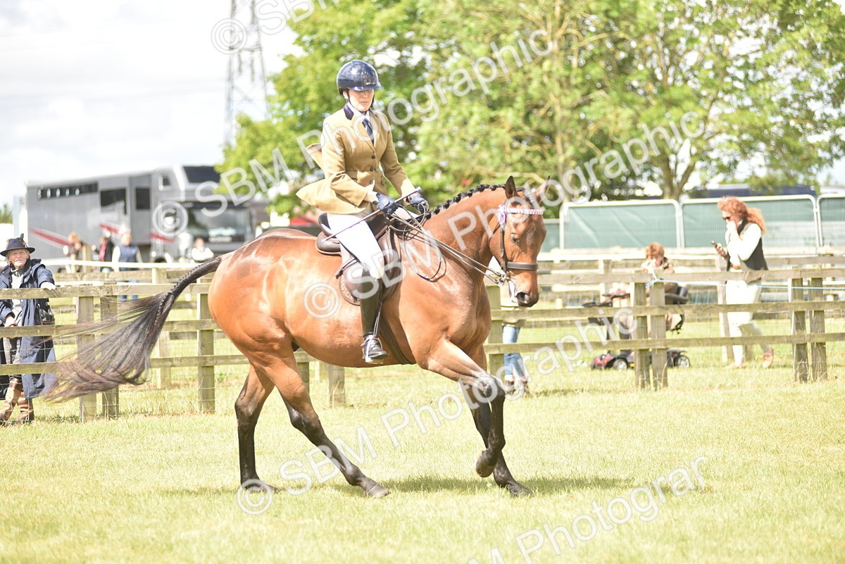 SBM_15102 - Class 113-114 - Retraining of Racehorses Ridden