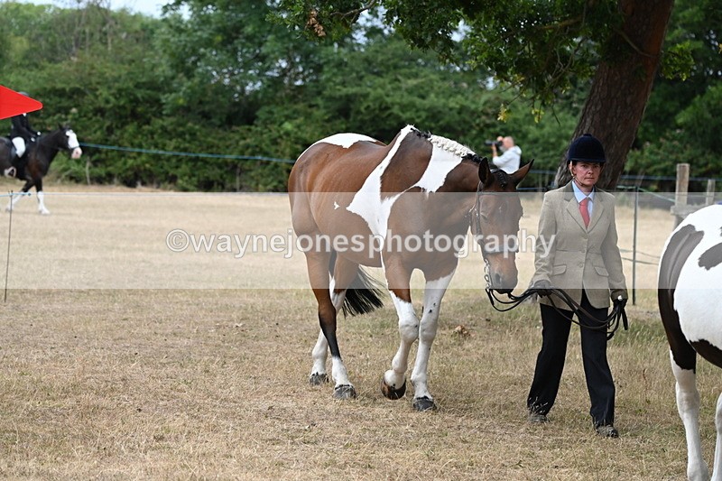 WJ6_7938 - Class 10 Coloured in Hand