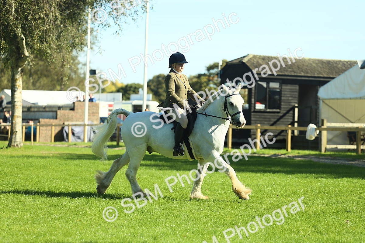 SBM_37381 - S29 - Novice & Newcomers Working Hunter Pony