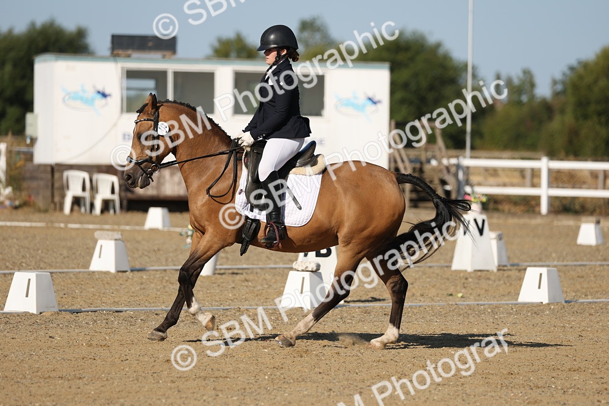 SBM_012620 - Class 1 - P5 Bronze 9.00.10.12