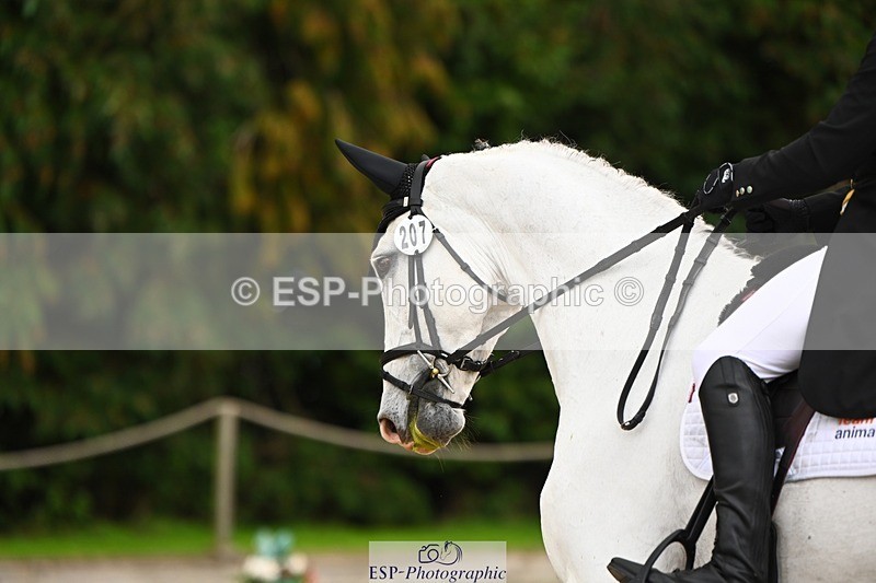 231020-143009-10271 - 207-CARRICK.DIAMOND.BARD-Alex.Holman-DR