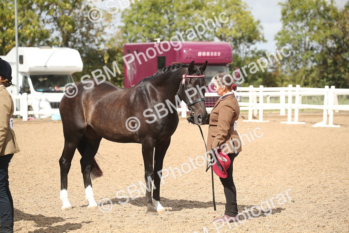 SBM_23471 - Class 604 - 2026 - Area IH Diamond