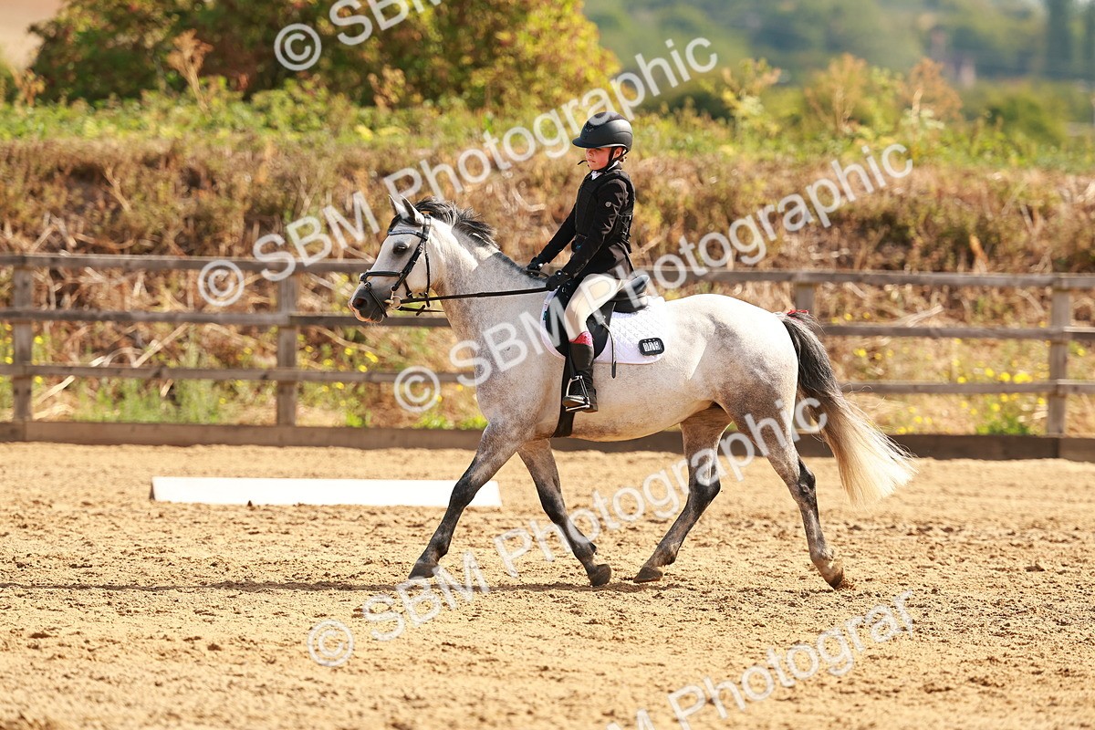 SBM_000426 - Class 12 - DR P1