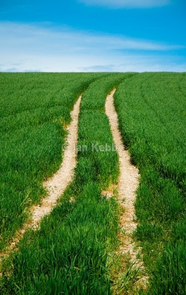  - Landscapes