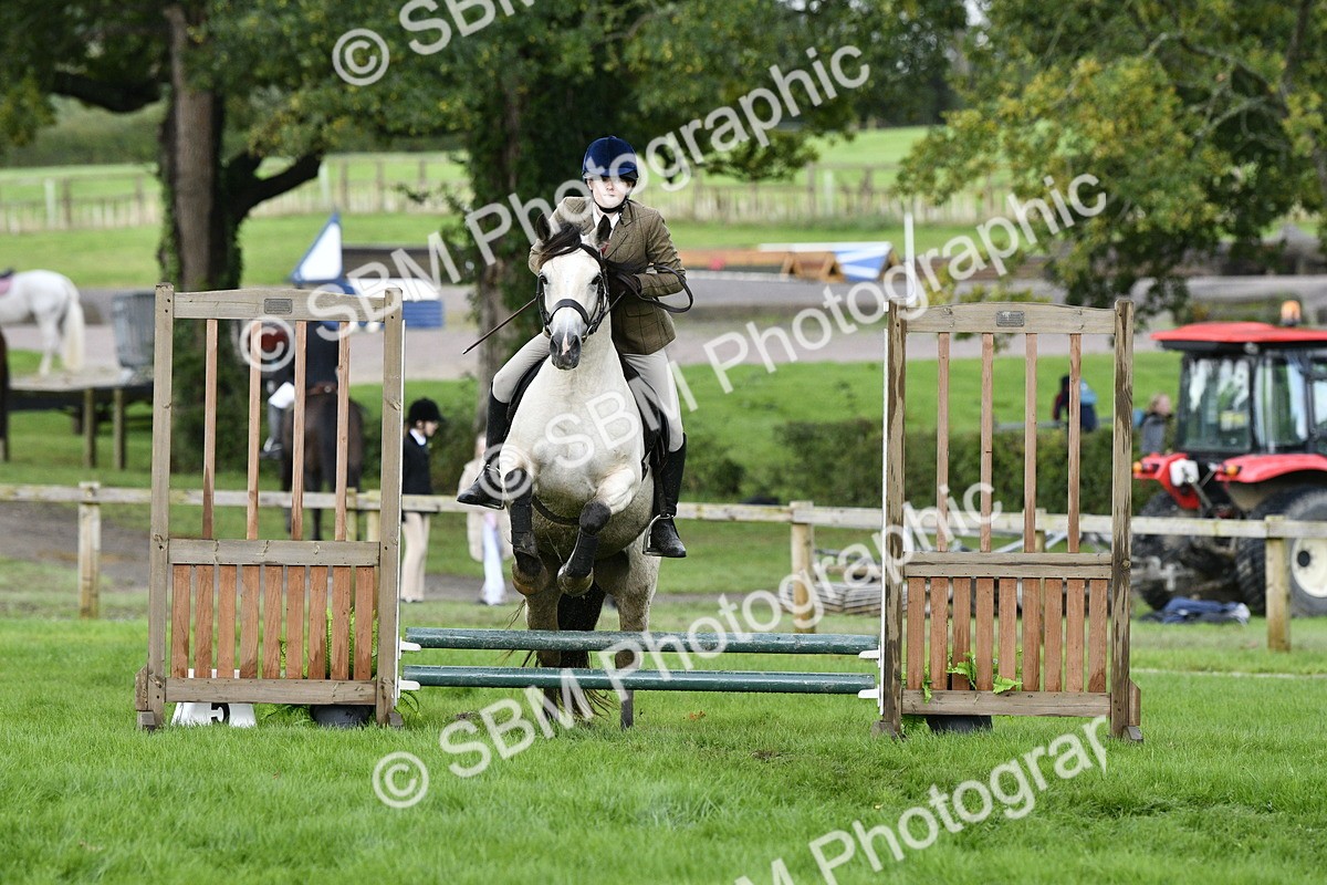SBM_41521 - S32 - Mountain & Moorland Working Hunter Pony