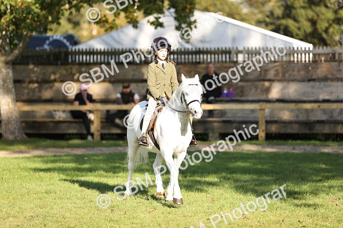 SBM_29407 - S7 - Novice & Newcomers Ridden Pony