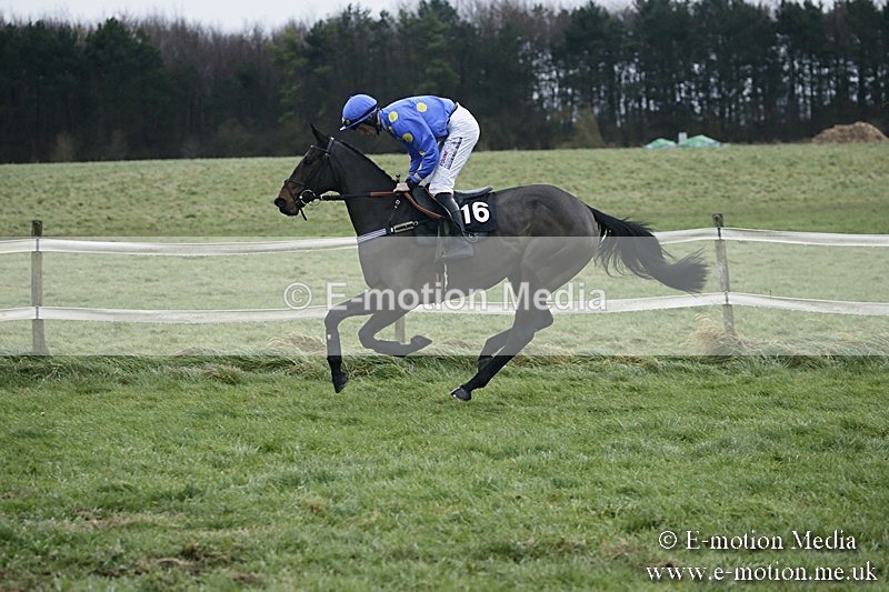 PtP 031217 745 - Hursley Hambledon Point-to-Point Larkhill 03/12/17